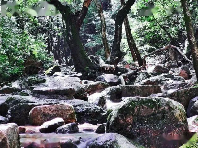 武林立志传