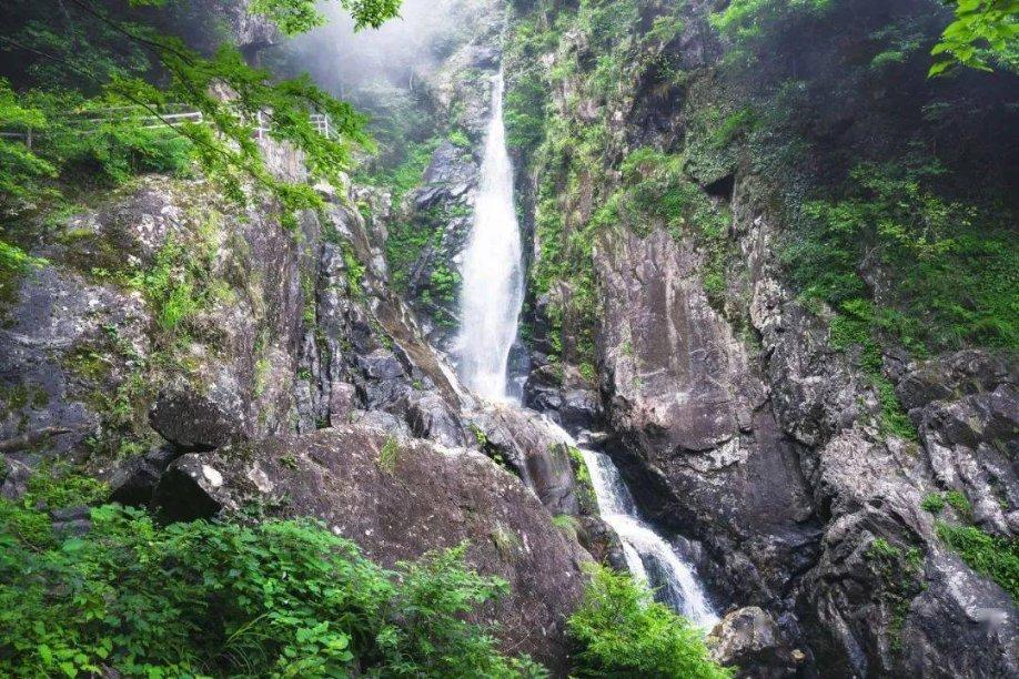 “大三阳”乙肝病毒携带者需要治疗吗?平时应该注意什么